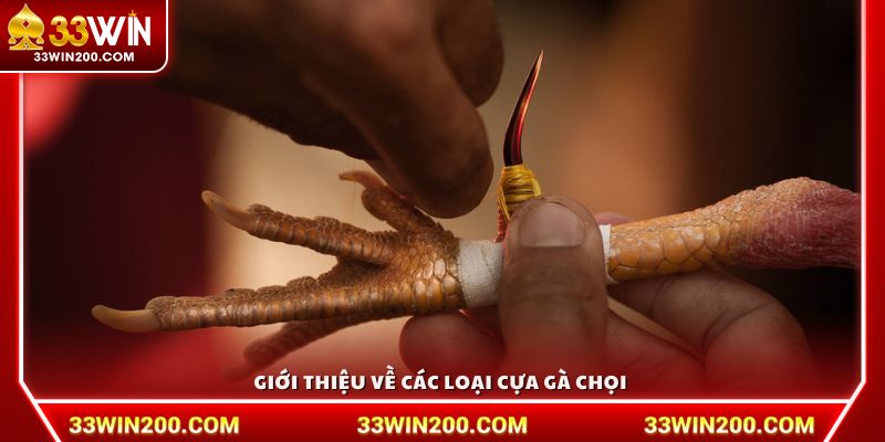 Giới thiệu về các loại cựa gà chọi