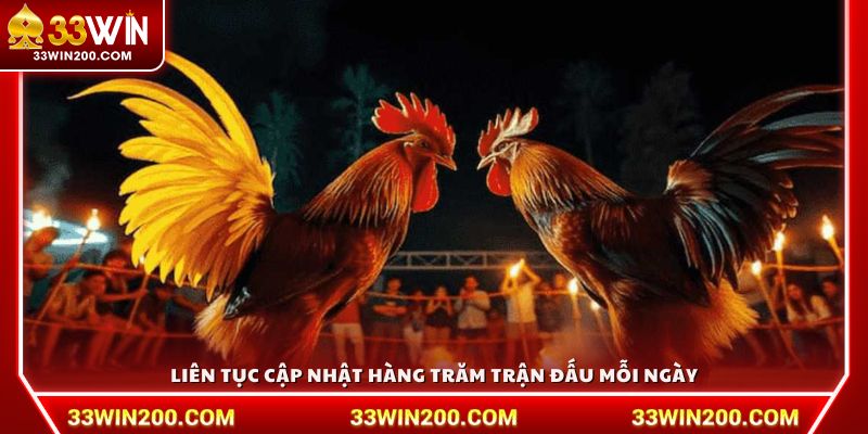 Liên tục cập nhật hàng trăm trận đấu mỗi ngày
