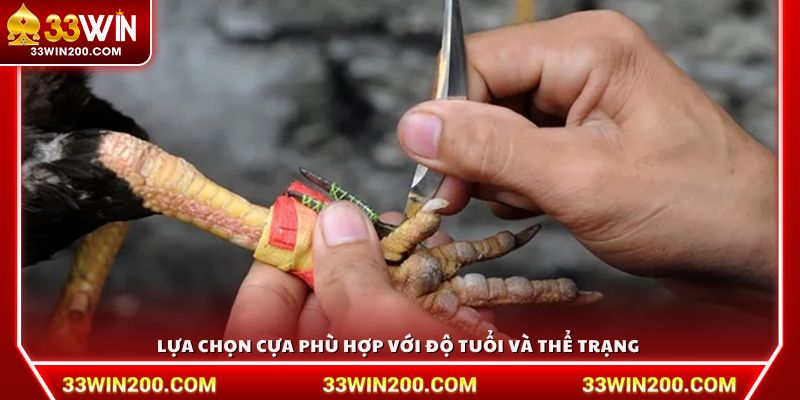 Lựa chọn cựa phù hợp với độ tuổi và thể trạng