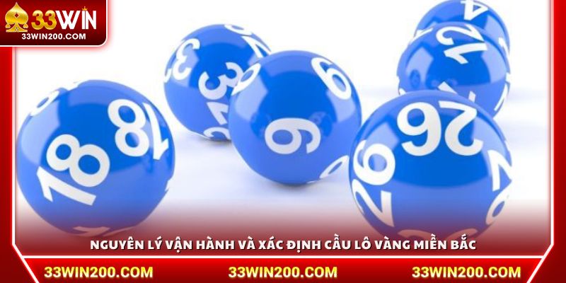 Nguyên lý vận hành và cách xác định