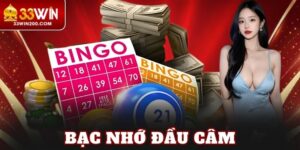 Bạc Nhớ Đầu Câm