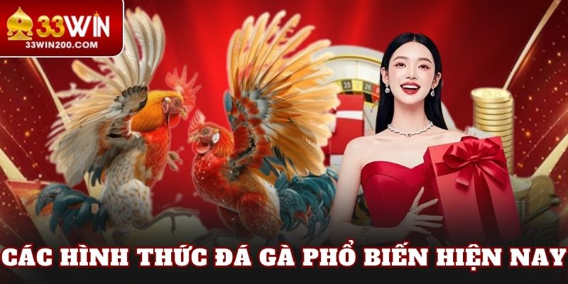Các hình thức đá gà phổ biến hiện nay