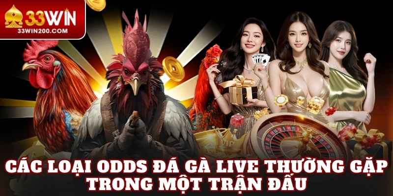 Các loại odds đá gà live thường gặp trong một trận đấu