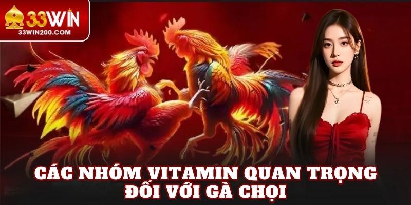 Các nhóm vitamin quan trọng đối với gà chọi