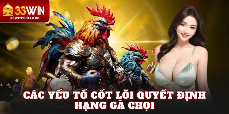 Các yếu tố cốt lõi quyết định hạng gà chọi