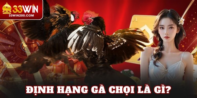 Định hạng gà chọi là gì?