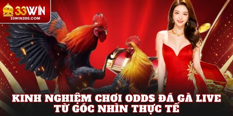 Kinh nghiệm chơi odds đá gà live từ góc nhìn thực tế