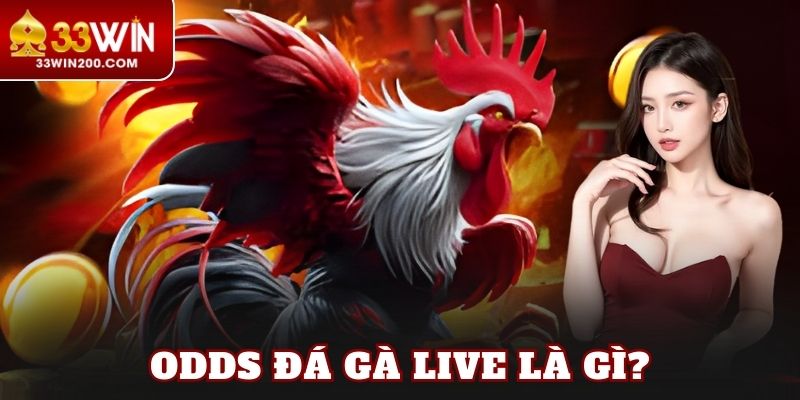 Odds đá gà live là gì?