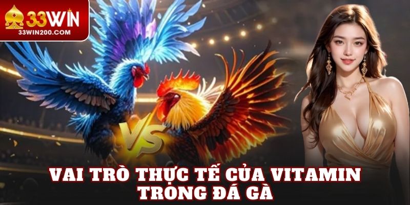 Vai trò thực tế của vitamin trong đá gà