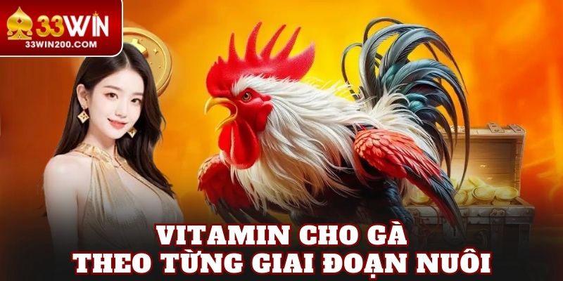 Vitamin cho gà theo từng giai đoạn nuôi